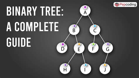 Binary Tree A Complete Guide In This Blog We Will Look At The By