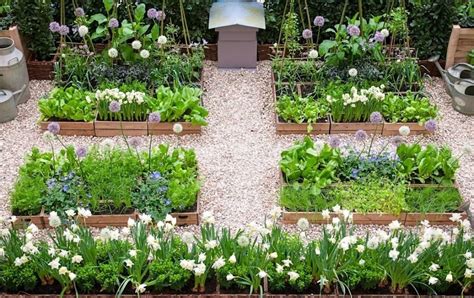 10 Best Home Garden Ideas To Enhance The Beauty Of Home Garden