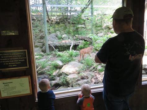 Squam Lakes Natural Science Center Is A Wildlife Park In New Hampshire