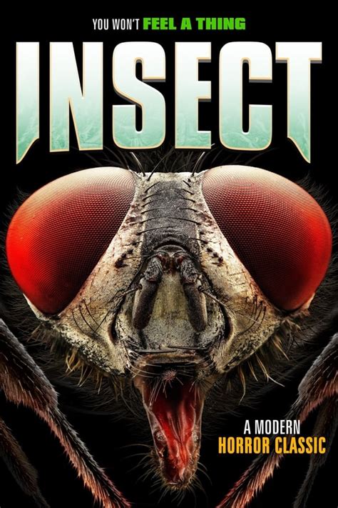 Insect 2021 — The Movie Database Tmdb