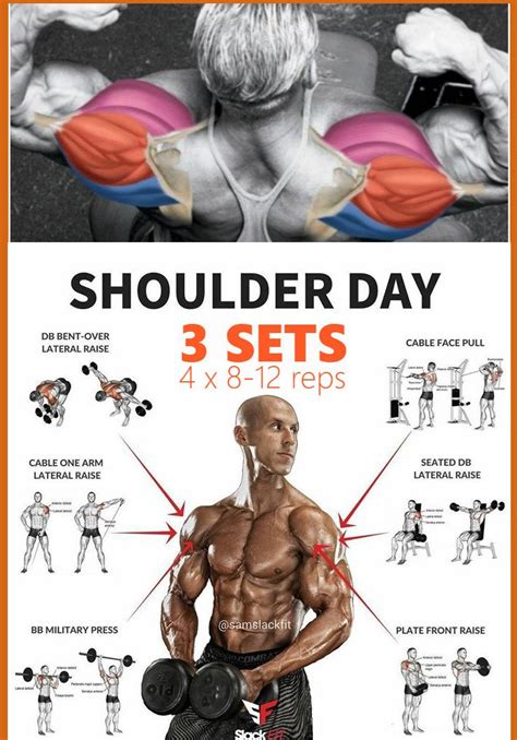 double phase shoulder width and growth workout plan shoulder workouts for men