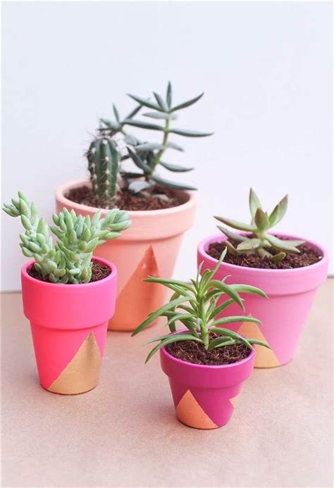 Go Glam 6 Diy Projects For Gold Home Decor Succulent Pots