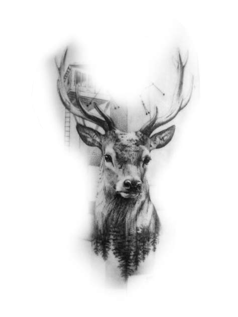 Jäger Tattoo Buck Tattoo Antler Tattoo Deer Head Tattoo Head