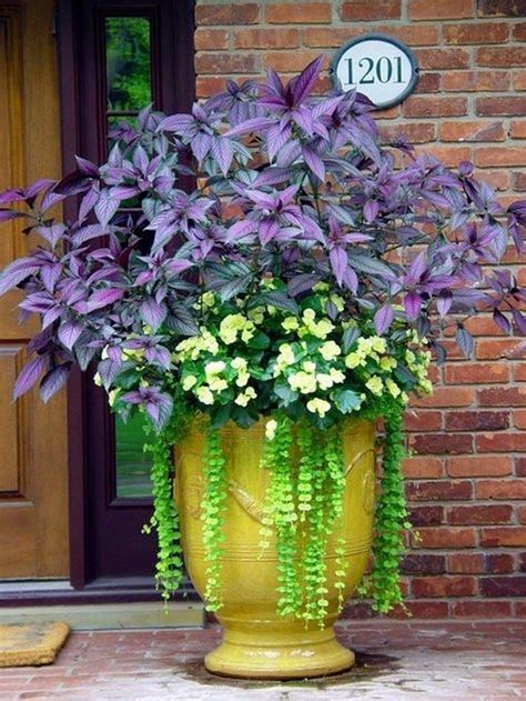 40 Beautiful Container Gardening Flowers Ideas For More Attractive Home