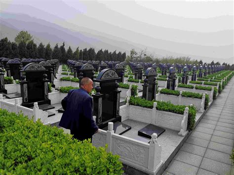 墓地暴利背后：农业生态园变身“公墓”，公益墓地藏百万豪华墓 新闻频道 和讯网