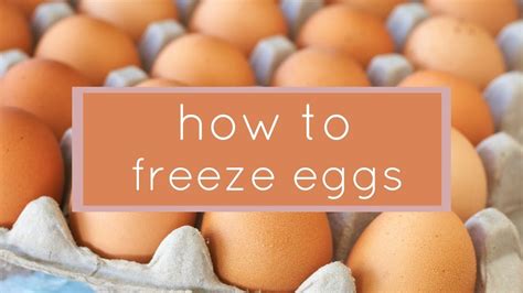 How To Freeze Eggs Youtube