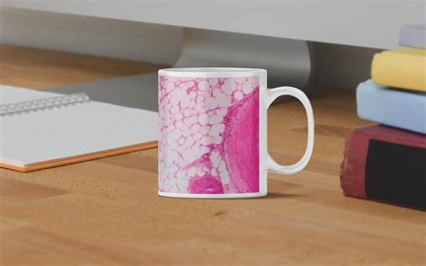 Artery And Vein Biology Prints