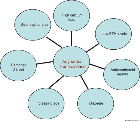 Adynamic Bone Disease Revisited Nefrología