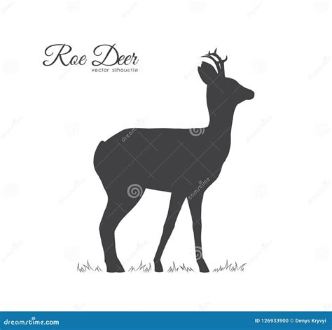 Vector Illustration Black Silhouette Of Roe Deer Isolated On White
