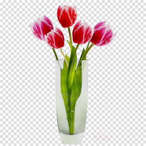 Flower Vases Vector Png