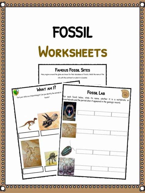 Seeds and plant growth discovery pack. Fossil Facts & Worksheets For Kids | History and Famous Sites