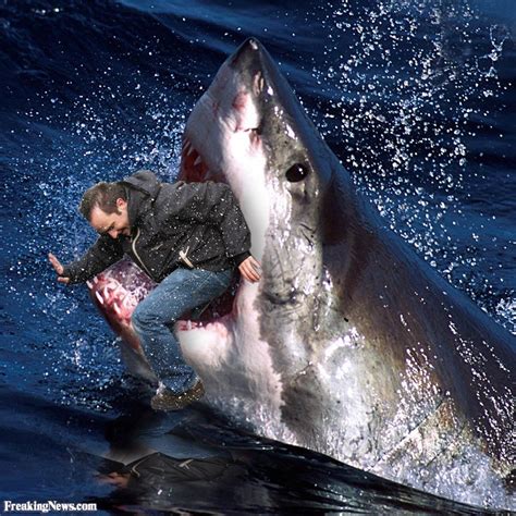 Man Being Eaten By A Shark Pictures