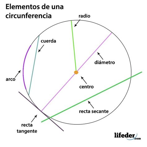 Cu Les Son Los Elementos De La Circunferencia Circulo Y