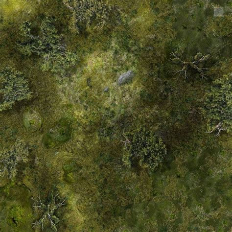 Marsh Battle Map 1 By Hero339 On Deviantart Forest Map Fantasy World