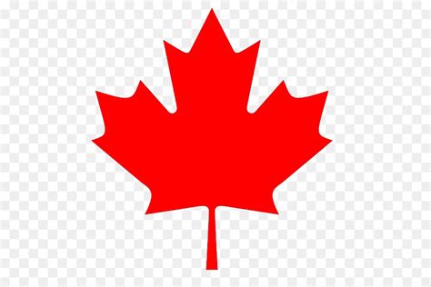 Canada Maple Leaf Png Download 568586 Free Transparent Canada Day