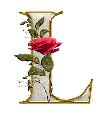 Lettering Alphabet Red Roses Nature Photography Topper Botanical