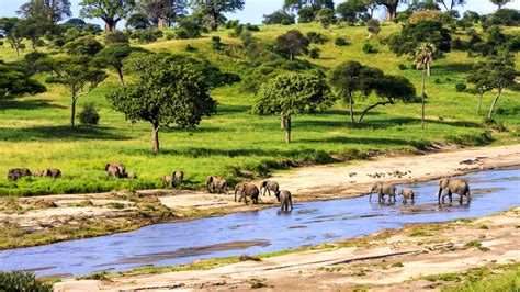 Safaris En Tanzanie Et Détente Sur Lîle De Zanzibar Groupe Voyages Québec