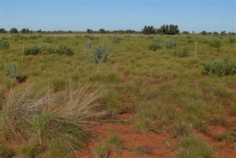 Rangeland Inventory And Condition Survey In Part Of The Broome Shire