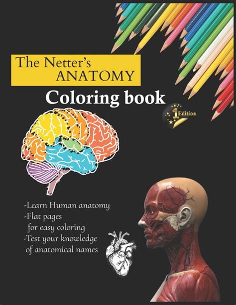 Anatomy Coloring Book Learn Anatomy While You Coloring Paperback