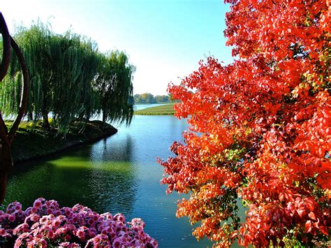 Desktop Wallpapers Chicago City Usa Botanic Garden Nature Pond Parks