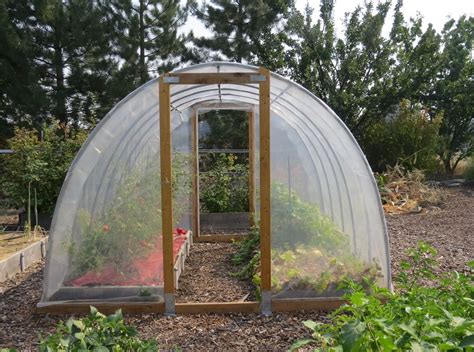 Hoophouse Hoop House Gets Year Round Use The Spokesman Review Metal Garden Beds Garden