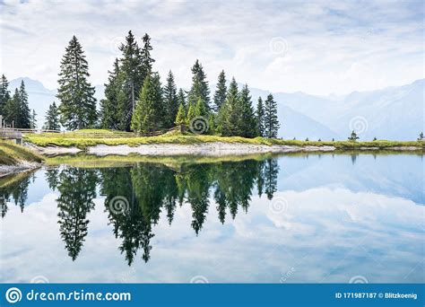 Mountain Lake Landscape View Stock Image Image Of Mountain Pine