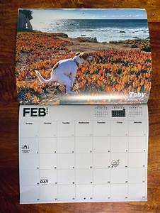 Every Month In This Calendar Features A Gorgeous Photo Of A Dog Pooping