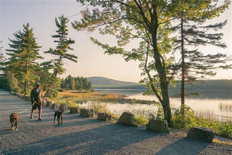 5 Must Do Activities In Acadia National Park Follow Your Detour