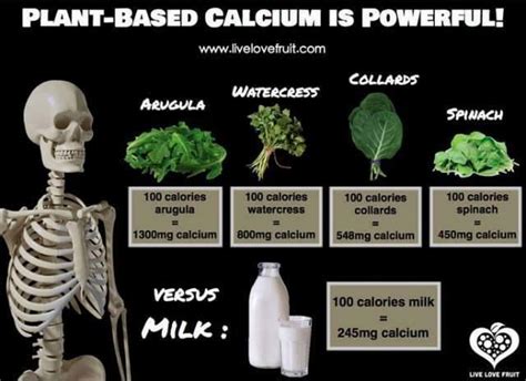 plant based calcium is powerful calcium rich foods plant based foods with calcium