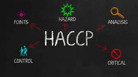 What Are The Principles Of Haccp Training Terminal