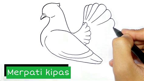 Cara Menggambar Burung Merpati Yang Gampang Merpati Kipas Youtube