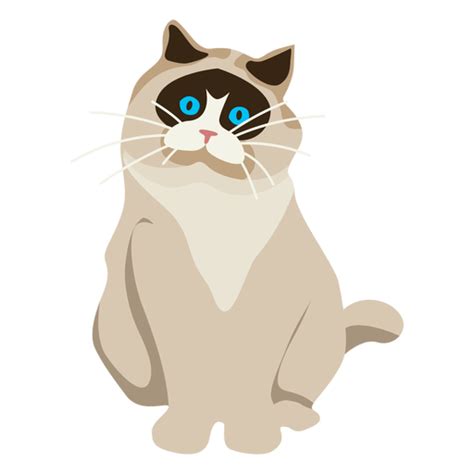 Ilustración De Gato Exótico De Pelo Corto Descargar Pngsvg Transparente