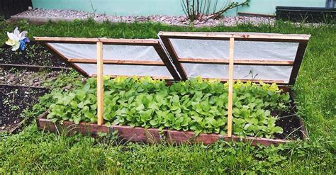 16 Diy Cold Frames To Extend Your Growing Season
