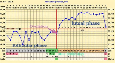 Bbt Chart Basal Body Temperature Chart Bbt Chart For Ovulation
