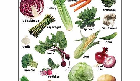 vegetable chart for kindergarten
