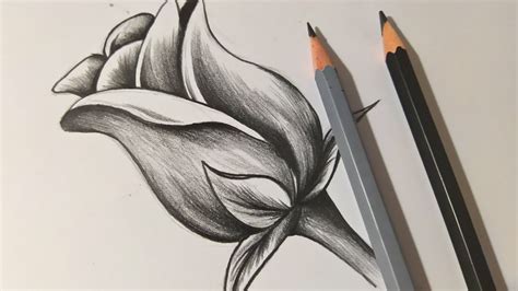 como dibujar una rosa 🌹 dibujos a lÁpiz youtube