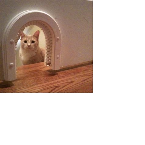 Tenpenny tower is a giant hotel. Cat-door Indoor Access Cat Door | Cat door, Cat room, Cat ...