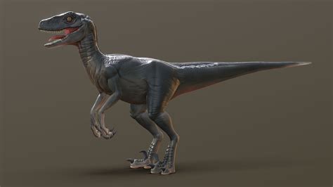 Jurassic Park Velociraptor 3d Model By Sean Thomas Foon C080e6d