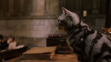 Professor Mcgonagall Voted As The Greatest Harry Potter Character Heart