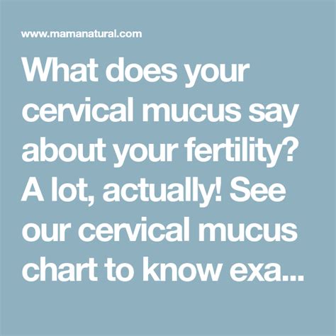 Cervical Mucus Chart Know When Youre Fertile Cervical Mucus Chart