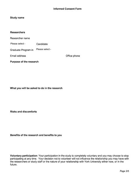 Social Work Consent Form Template Fill Out And Sign Online Dochub