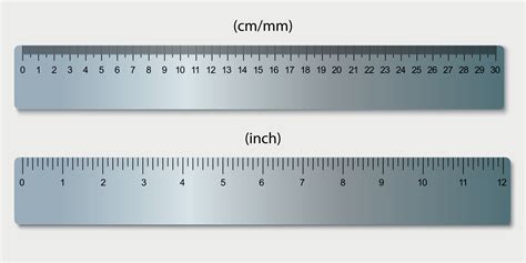 Rulers Marked In Centimeters And Inches Vector 11159641 Vector Art