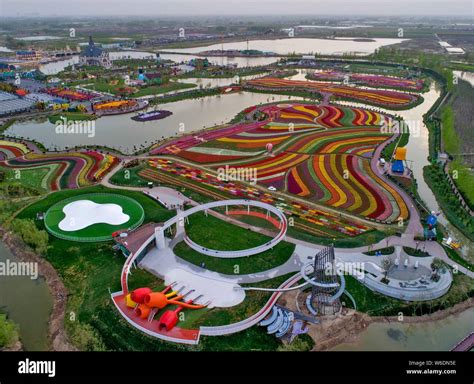 Aerial View Of More Than Million Tulips In Full Blossom At The Holland Sea Of Flowers In