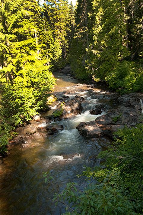 Ford Pinchot National Forest Watermanatwork