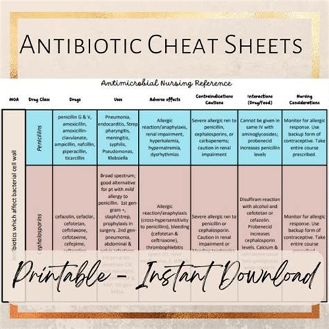 Antibiotic Cheat Sheet Etsy