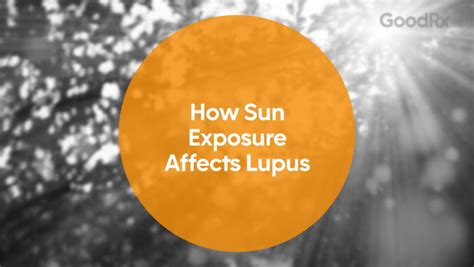 Why Lupus Makes You More Susceptible To Anemia Goodrx