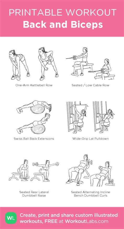 The workout will consist of 3. Back and Biceps - my custom workout created at WorkoutLabs ...