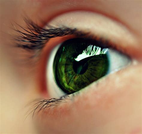 Emerald Green Eyes Wow Green Eyes Eye Color Eye Photography