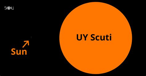 The sun is like a grain of pollen,sand,or even smaller when compared to uy scuti. UY-Scuti-vs-The-Sun | The Secrets Of The Universe