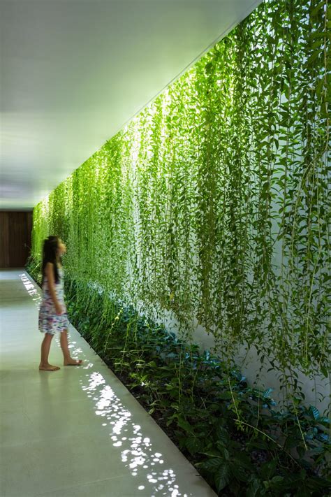 Modern Babylon Hanging Plants Serve As Green Walls And Window Shades